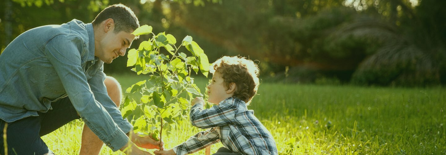 5 million trees program website