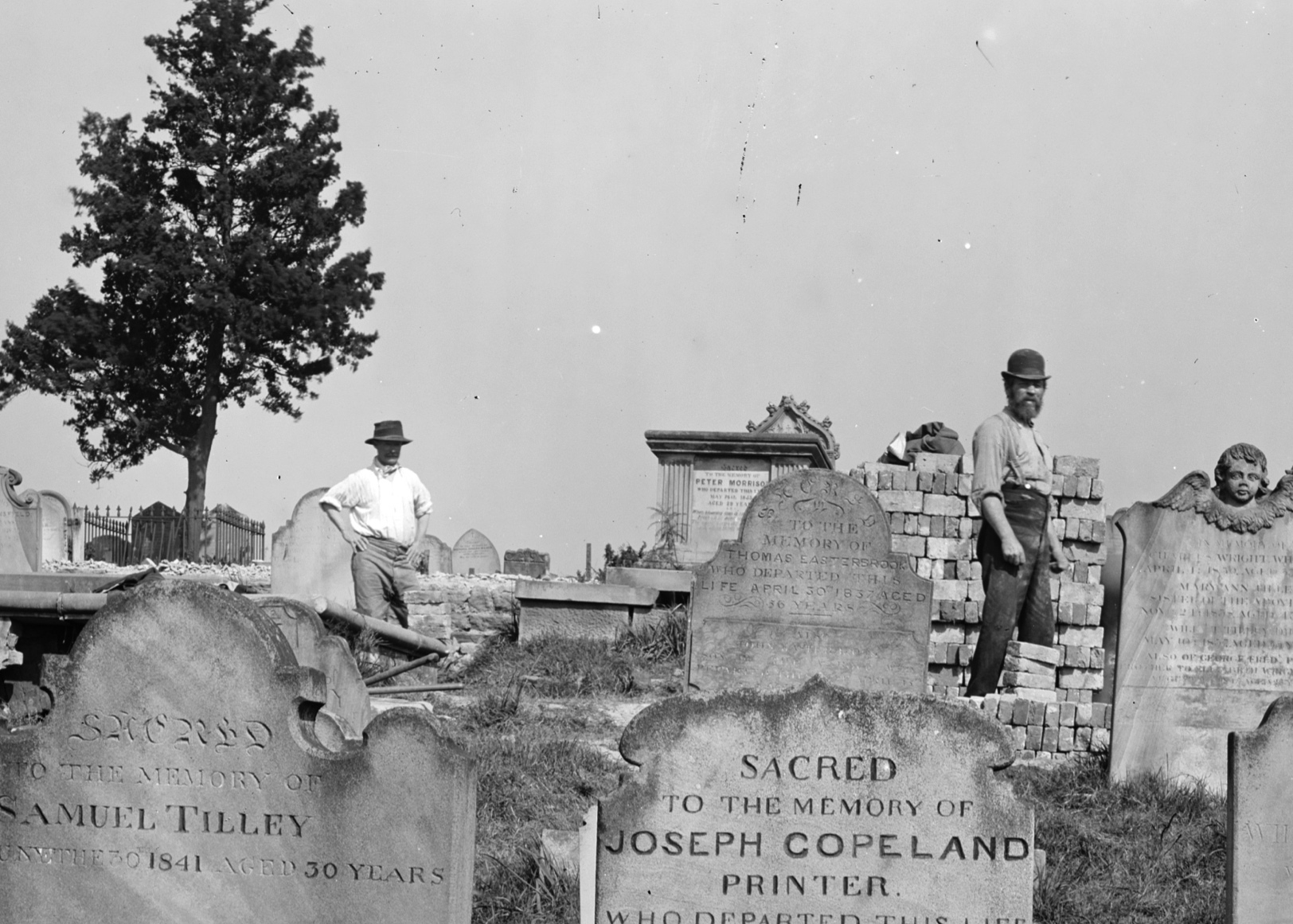 Central Metro Heritage Interpretation