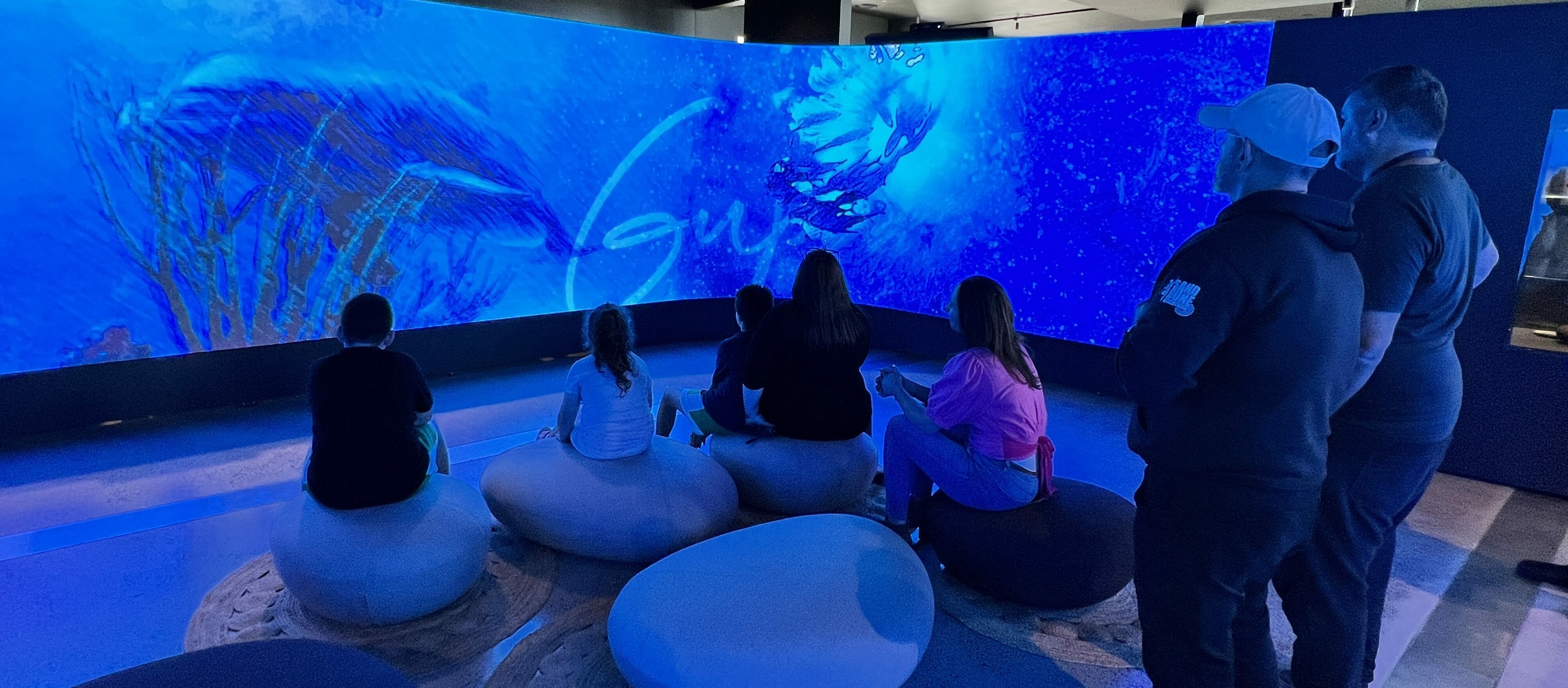 Murrook LED Wall with crowd dolphins